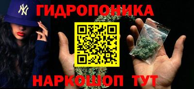 стаф Кунгур