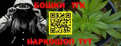 стаф Кунгур