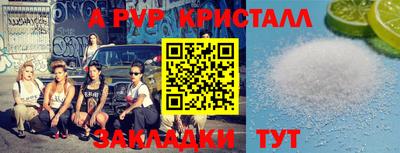 стаф Кунгур