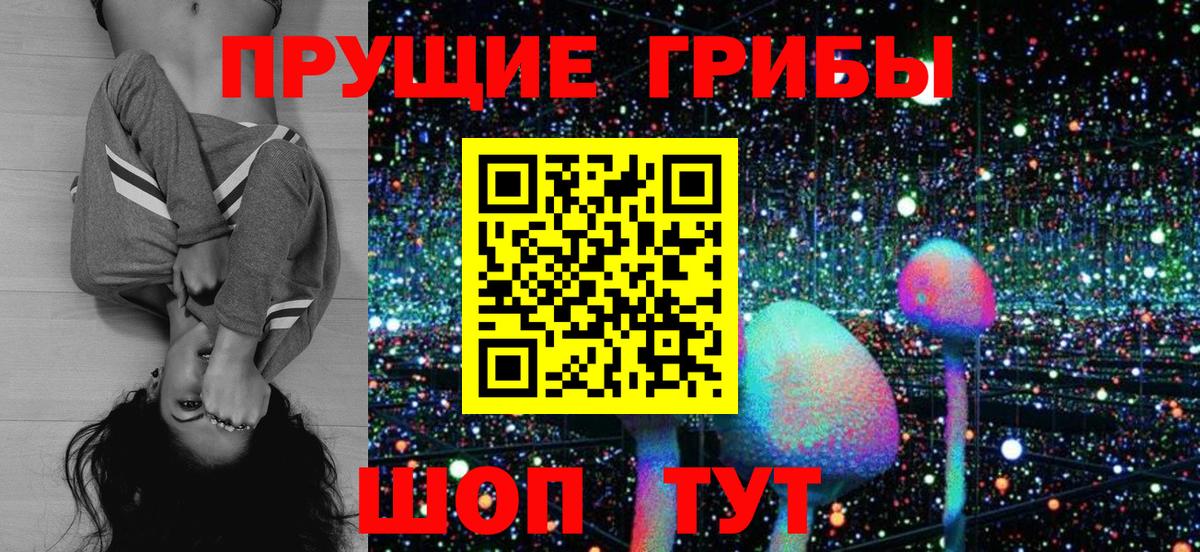 Псилоцибиновые грибы мицелий Дмитров