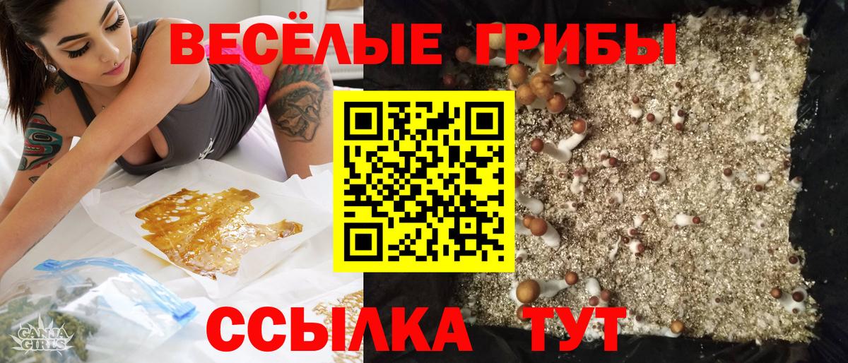 Дмитров  Псилоцибиновые грибы Psilocybe  даркнет сайт  Вход с VPN 